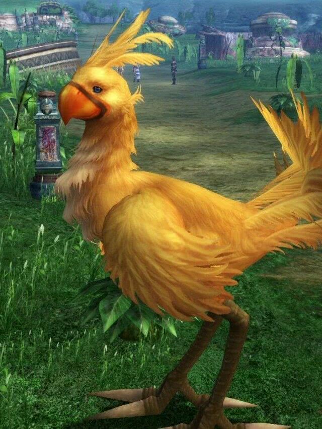 10 Fatos sobre os chocobos