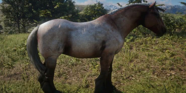 Os melhores cavalos de Red Dead Redemption II e onde encontrar