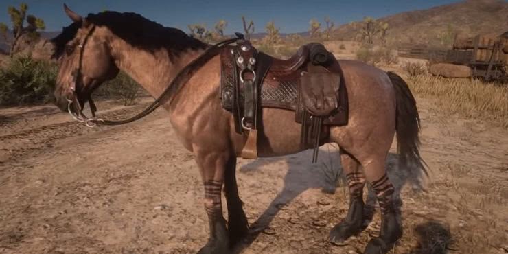 Domei um dos CAVALOS MAIS RAROS DO JOGO - O Domador de Cavalos - Red Dead  Redemption 2 