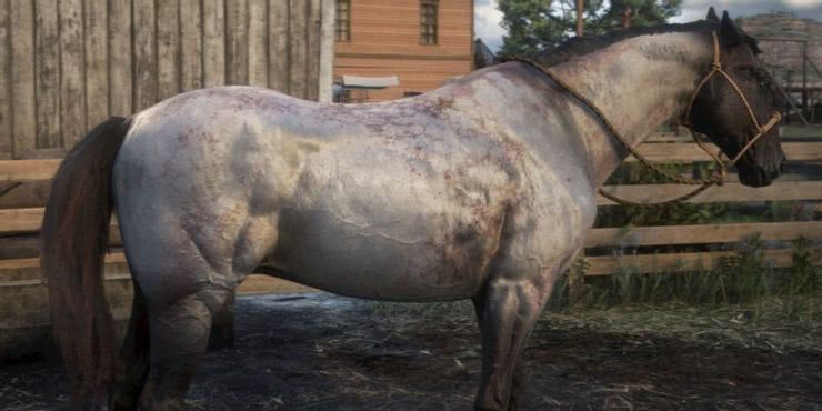 Red Dead Redemption 2 - Cavalo Warmblood Holandês Ruano Chocolate RDR2