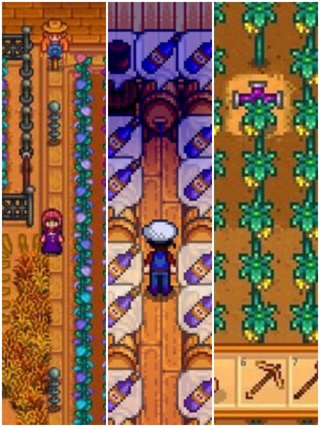 Melhores sementes para cultivar na Ilha Gengibre de Stardew Valley