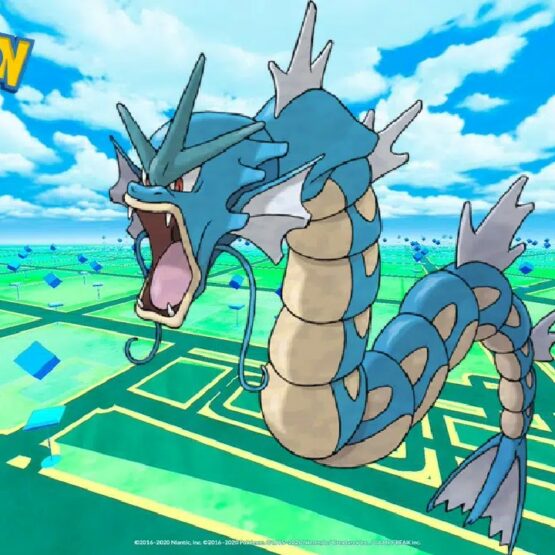 gyarados pokémon go