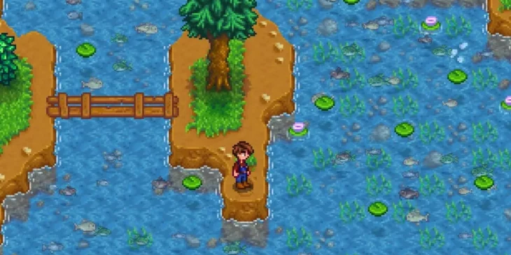 pegar bagre em stardew valley