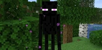 story-enderman-overplay