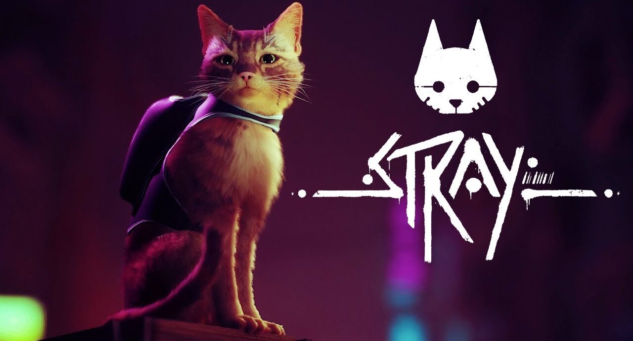 Gato é protagonista de novo jogo de videogame