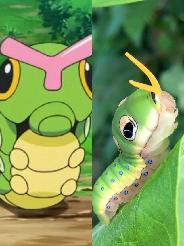 10 Pokémon que existem na vida real