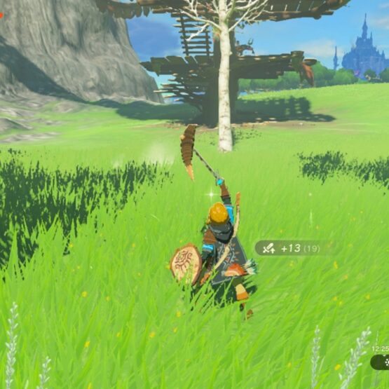 Zelda: Tears of the Kingdom