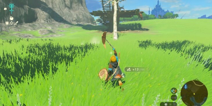 Zelda: Tears of the Kingdom