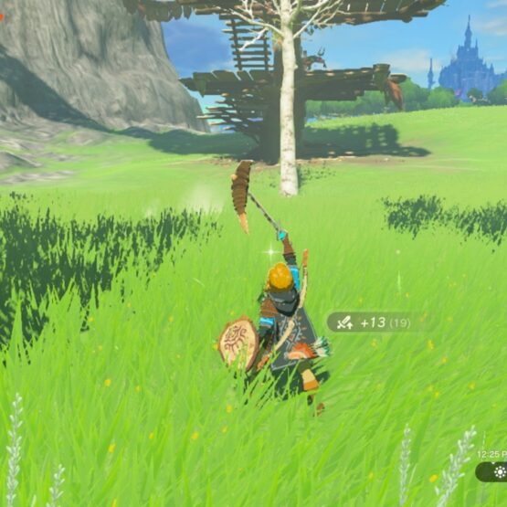 Zelda: Tears of the Kingdom