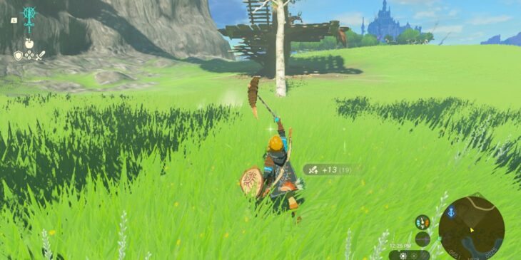 Zelda: Tears of the Kingdom