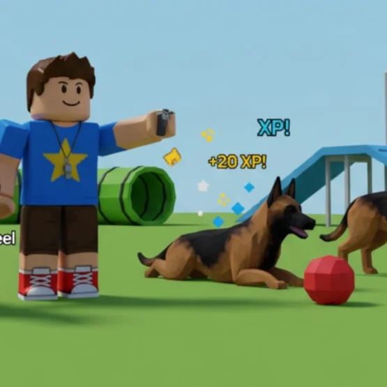 Animal training